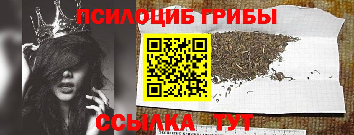 Псилоцибиновые грибы прущие грибы Елизово